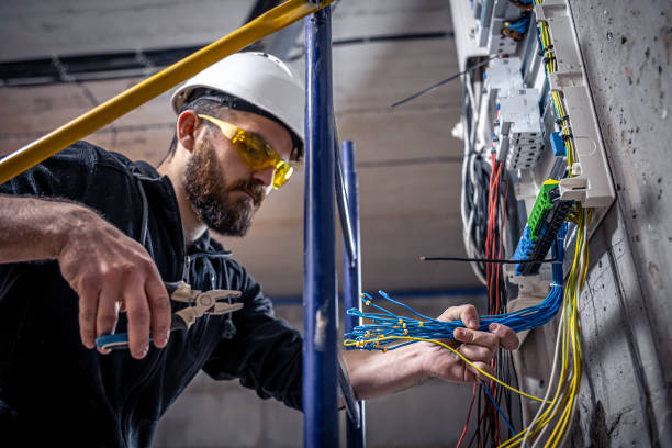Best Electric Panel Repair  in Lumber City, GA